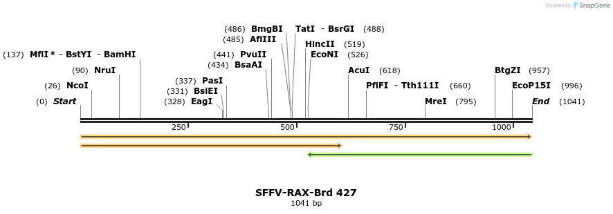 428509_map