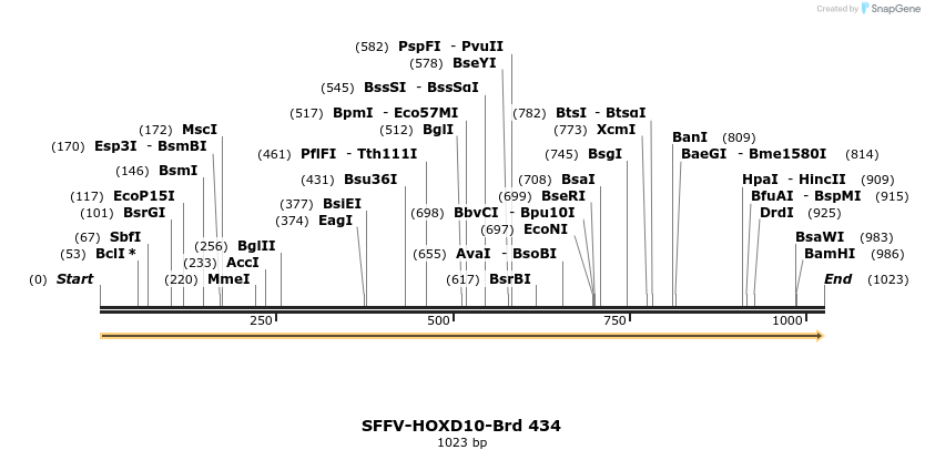 428521_map