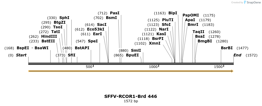 428539_map