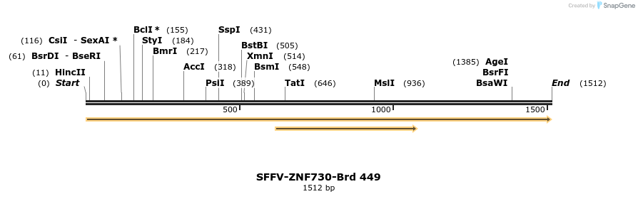 428548_map
