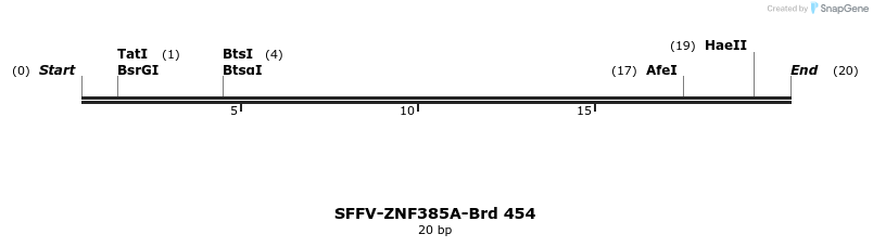 428561_map