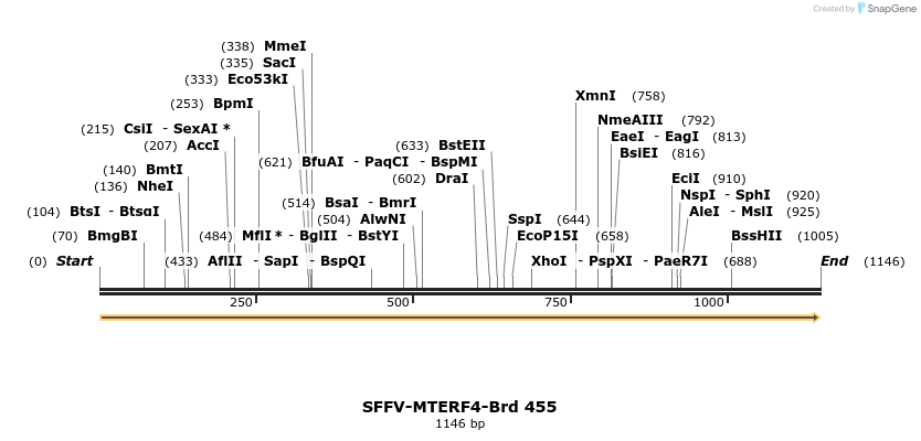 428563_map
