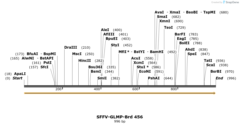 428566_map