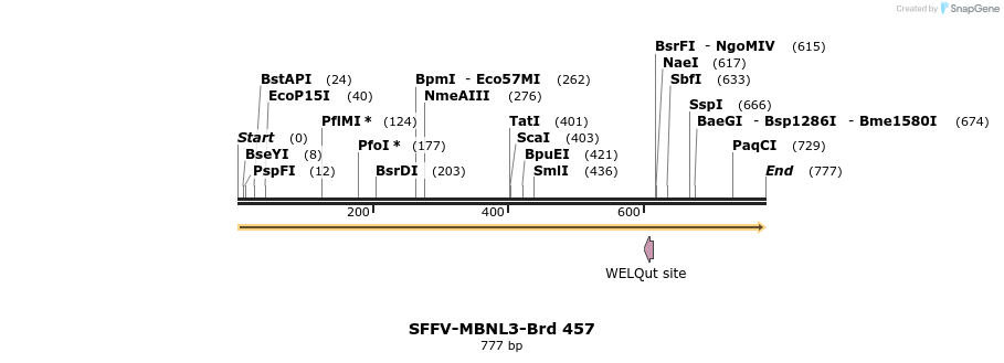 428569_map