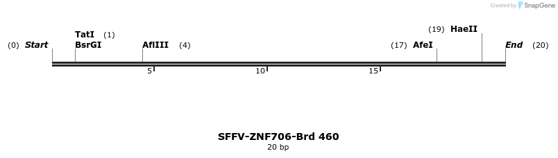 428576_map