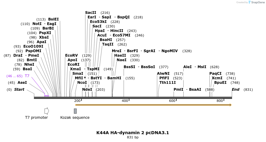 42858_map