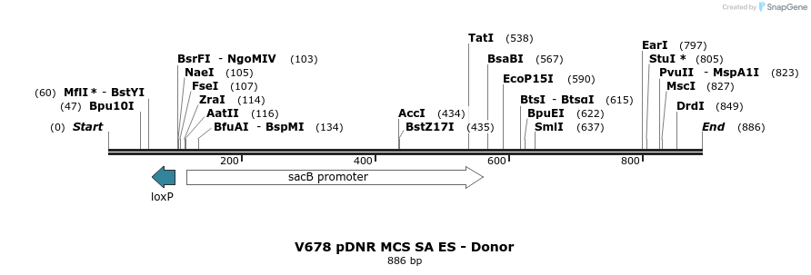 42859_map