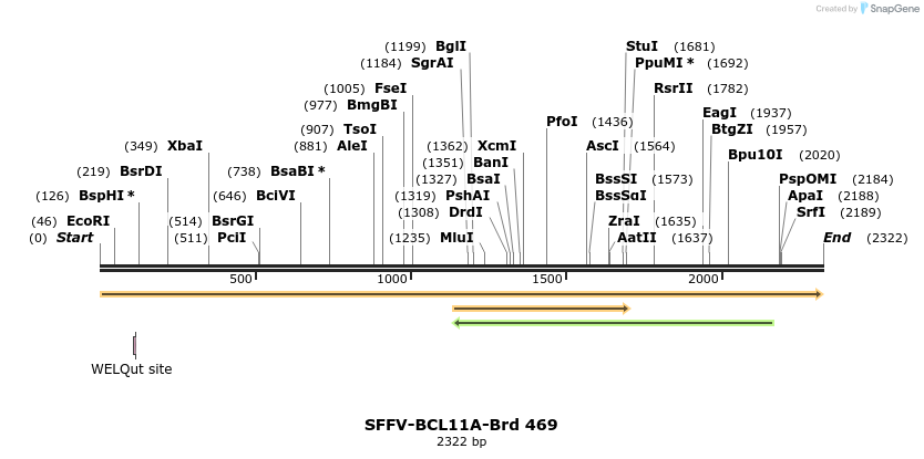 428590_map