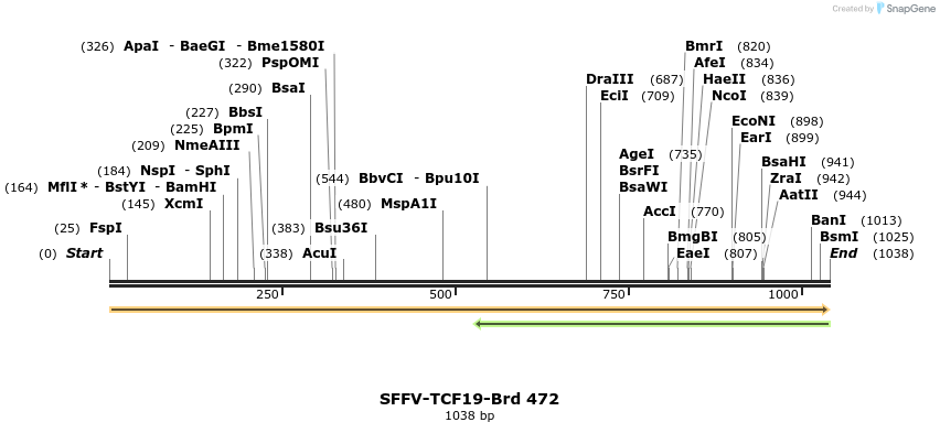 428599_map