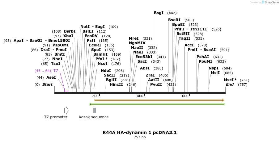 42860_map