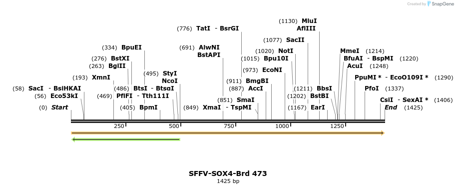 428602_map
