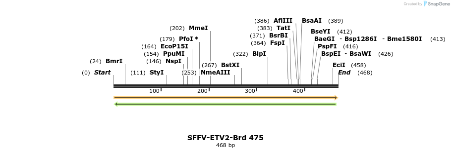 428608_map
