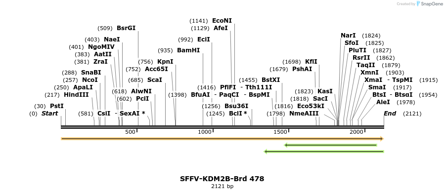 428614_map