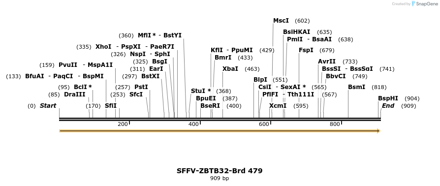 428617_map