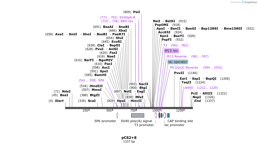 42862_map