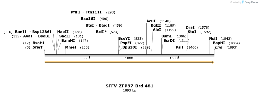 428620_map