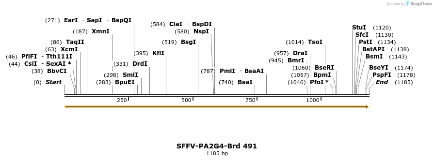 428638_map