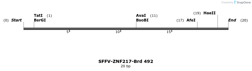 428642_map