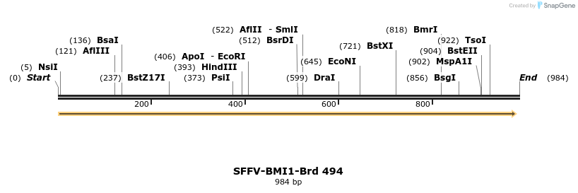 428644_map