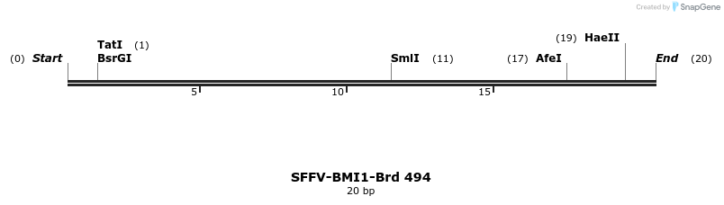 428645_map
