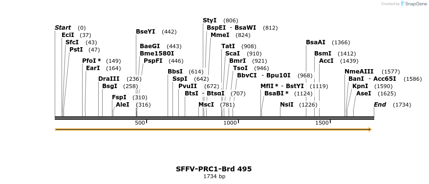 428647_map