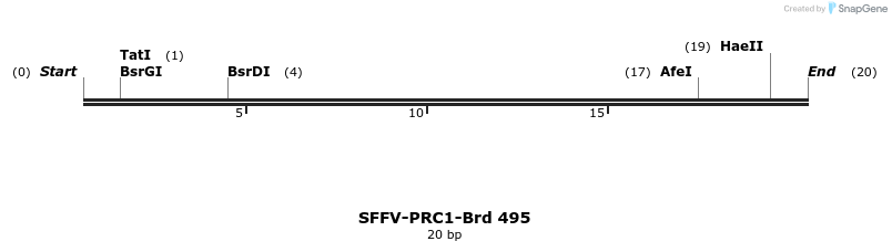 428648_map