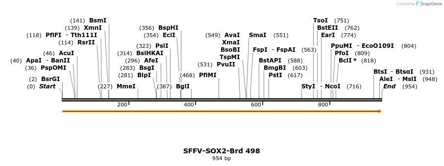 428656_map