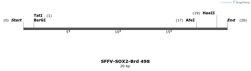 428657_map