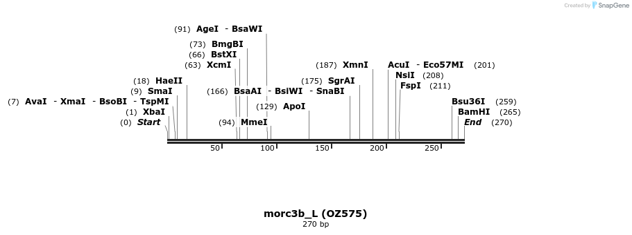 42871_map