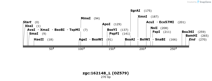 42875_map