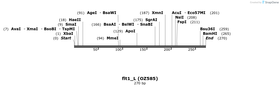 42881_map