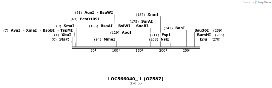 42883_map