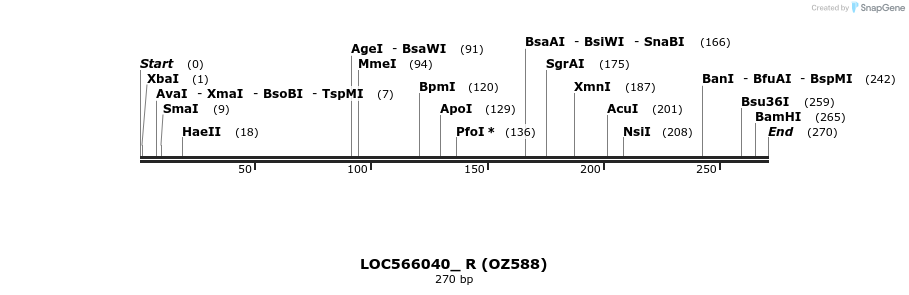 42884_map