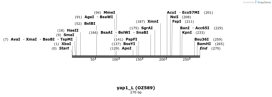 42885_map