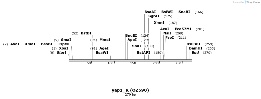 42886_map