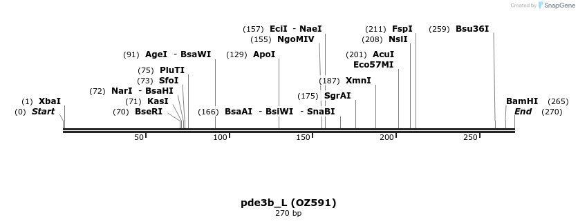 42887_map