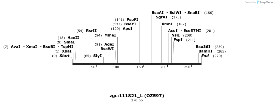 42893_map