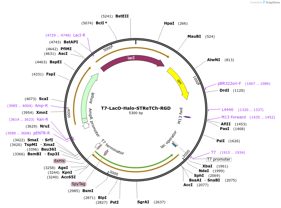 428946_map