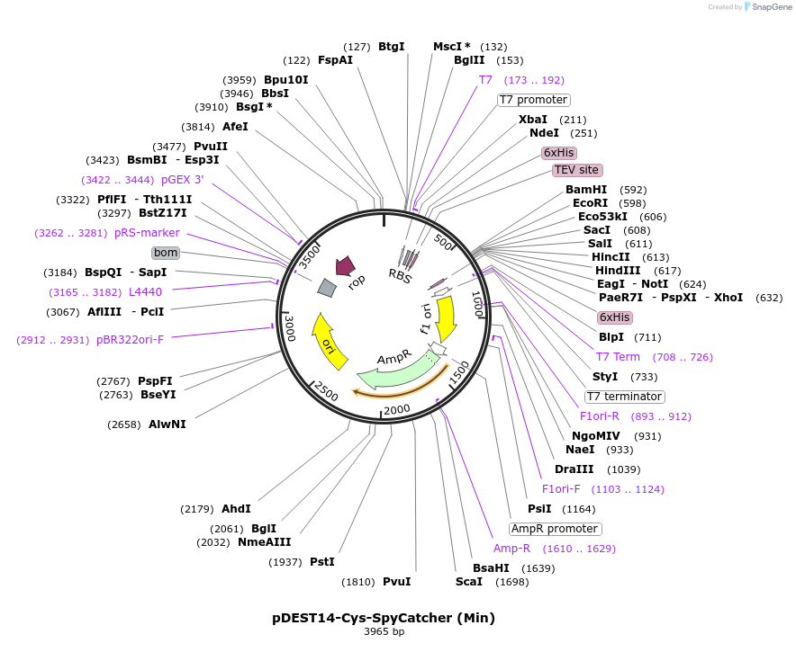 428947_map