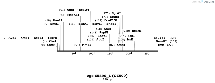42895_map