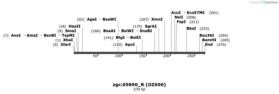 42896_map