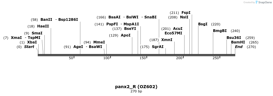 42898_map