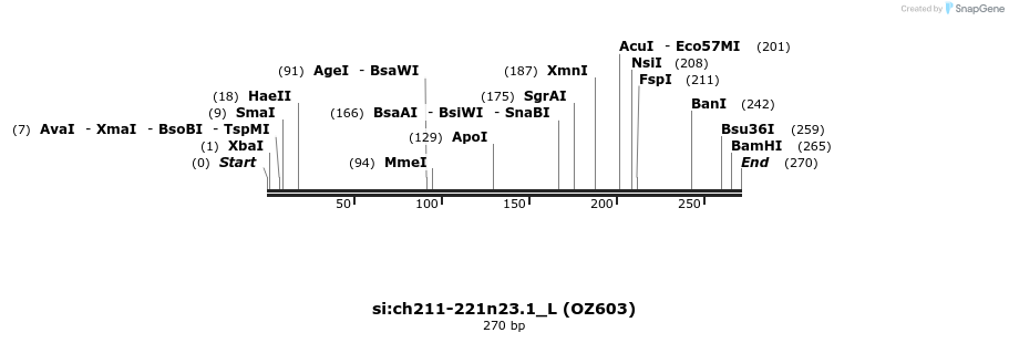 42899_map