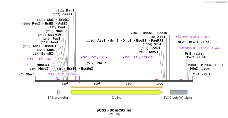 42901_map