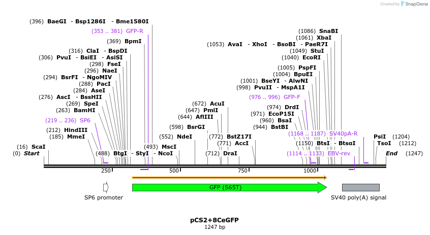 42903_map