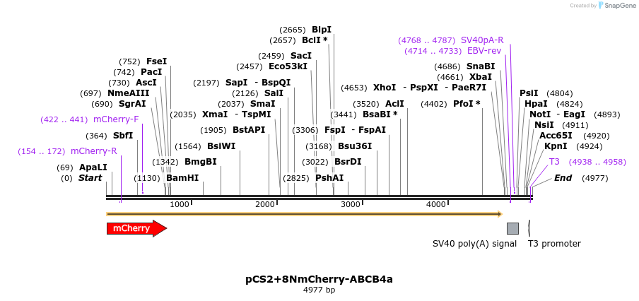 42905_map