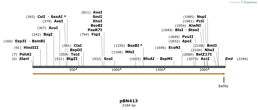 429060_map