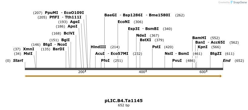 42909_map
