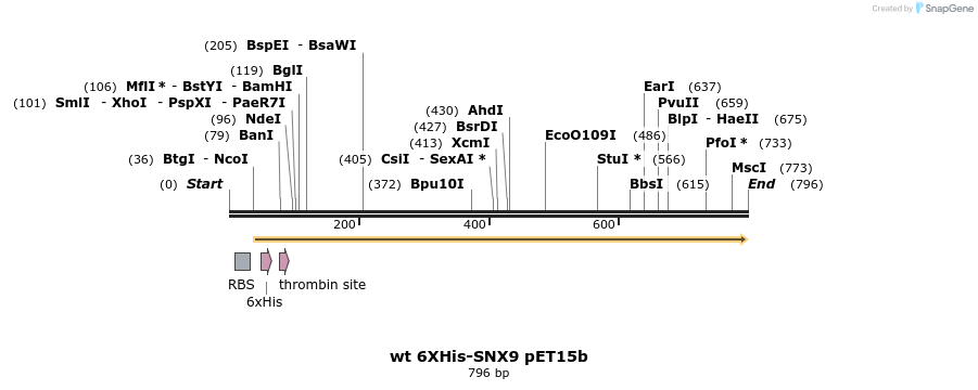 42910_map