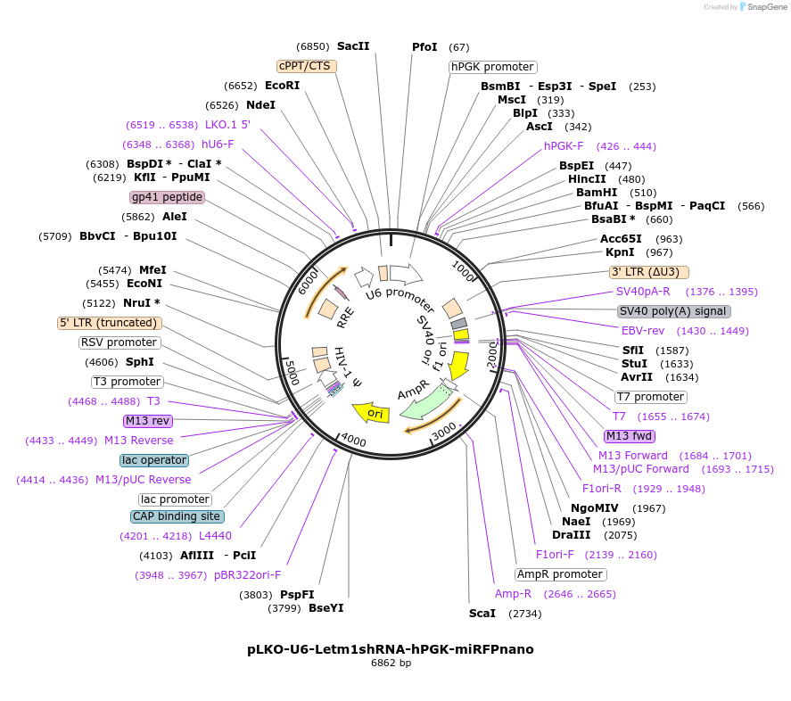 429105_map